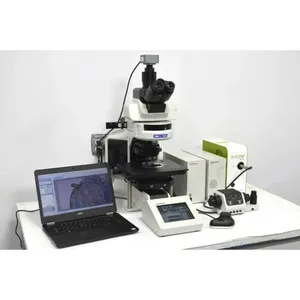 ส่วนลดสำหรับกล้องจุลทรรศน์แบบดิจิตอล BX63U รุ่น Fluorescence Upright กำลังขยาย 400 เท่า พร้อมมอเตอร์และฟิลเตอร์ใหม่ - Product Image 3