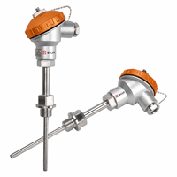 Sensor Suhu Industri Kustom SYJT dengan Probe 200 mm untuk Aplikasi IP67