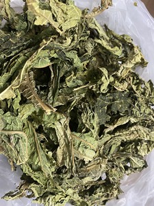 ใบมะละกอตากแห้งจากฟาร์มดอกบัวสีฟ้าผลิตภัณฑ์ทางการเกษตรจากเวียดนาม - Product Image 3