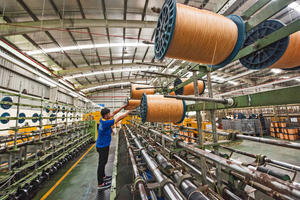 Fabriquée en usine, la corde Danline robuste Résistance fiable pour les tâches exigeantes Fabriqué au Vietnam - Product Image 6