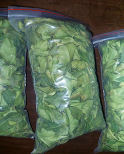 ใบมะนาวแห้งแบบพรีเมี่ยมจากเวียดนาม | สารปรุงแต่งรสธรรมชาติสำหรับทำอาหารชา | ขายส่งจำนวนมาก - Product Image 6