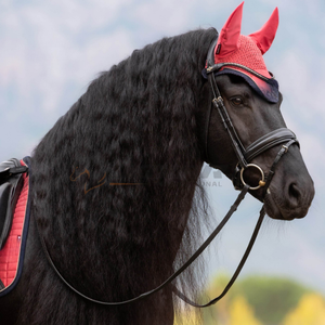 Bonnet d'oreille de cheval en crochet élégant léger respirant lavable Premium Fly Veil Pakistan Made for Competitions Ear Bonnet - Product Image 3