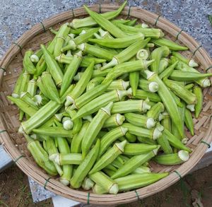 Tranche d'OKRA TOUT NATUREL CONGELÉ/QUALITÉ FRAIS DE LA FERME/AUCUN ADDITIF/OEM DISPONIBLE - Product Image 5