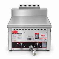 Friteuse à gaz de comptoir, machine à frire au gaz commerciale pour poulet frit, frites et snacks
