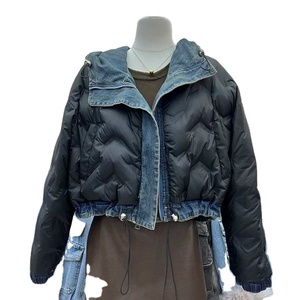 Elegante Y2K Vintage Cremallera Abrigos delgados Mujeres Impreso Cuello mandarín Streetwear Regular Chaqueta de mezclilla Transpirable Ecológico - Product Image 3