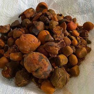 Calculs Biliaires de Bœuf 100% Naturels de Haute Qualité Certifiés ISO Durée de Conservation 1 An Source Bovine 60% Mélittine Non Soluble dans l'Eau - Product Image 6