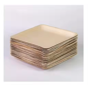 Assiette carrée jetable biodégradable et compostable en feuille de palmier d'arec, bois ou bambou pour aliments - Product Image 2