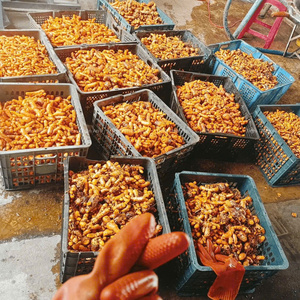 ขมิ้นสดแห้งจากเวียดนาม - Product Image 1