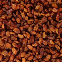 Premium Biologische Groene Rozijnen Bulk AD Gedroogd Zoete Smaak Waterbestendig Voedzame Snack Private Label Export Zuidoost-Azië