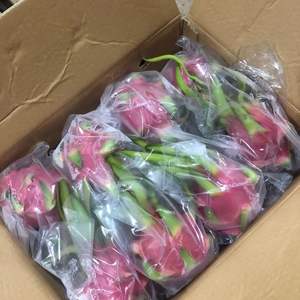 Fruta del Dragón Fresca de Alta Calidad de Vietnam - Pulpa Roja y Blanca - Product Image 5