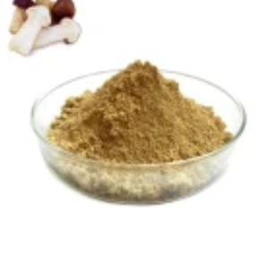 ÉCHANTILLON GRATUIT 99% POUDRE BLANCHE ANHYDRE SOPHORA JAPONICA EXTRAIT 95% 98% POUR SUPPLÉMENT AU VIETNAM! HAUTE QUALITÉ - Product Image 2