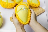 [Hot Deal 2023 ] Vietnamese Cat Chu Mango Goed Voor Gezonde Export Kartonnen Verpakking Vietnam Verhandeld Verse Mango 'S