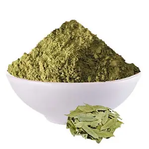 Best Price Food Grade Pure Organic Senna Leaf Powder Premium Quality Exporter From India