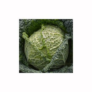 La mejor Col fresca Repollo rojo orgánico fresco Repollo verde orgánico fresco - Product Image 2