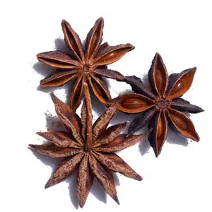 100% Organic Star Anise- Supplier of high quality star anise/star anise powder with competitive price from Vietnam