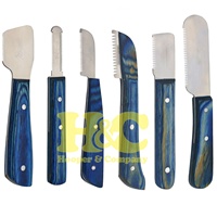 HOOPER COMPANY Ensemble de brosses et ciseaux de toilettage pour animaux de compagnie de luxe moderne, en acier inoxydable durable, design écologique, parfum frais
