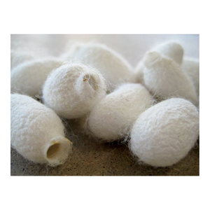 Rollo de hoja de Fibra de seda suave Natural con relleno de algodón capullo de seda para edredón, almohada, capa interior, Material textil de Vietnam - Product Image 3