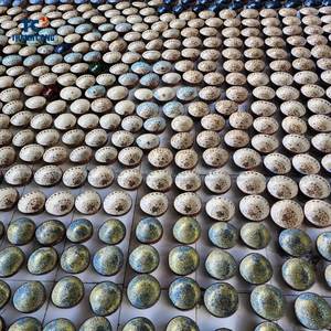 Nouveauté Vente en gros de nacre incrustée de coquilles de noix de coco Bol MOP Bols de noix de coco par Thanh Cong Artisanat Fabriqué au Vietnam - Product Image 3