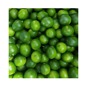 Citrus naturel citron vert frais pour boissons, marinades et desserts, origine Vietnam, packs d'exportation de haute qualité supérieure - Product Image 5