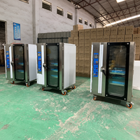 Four à convection électrique professionnel 12 plateaux 12,8 kW avec pulvérisation de vapeur et porte vitrée pour la production de pain en boulangerie
