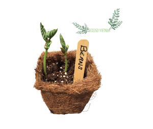 กระถางต้นไม้ใยมะพร้าวย่อยสลายได้,กระถางดอกไม้ใยมะพร้าวสำหรับปลูกดอกไม้ตกแต่งสวนทำในเวียดนาม - Product Image 5