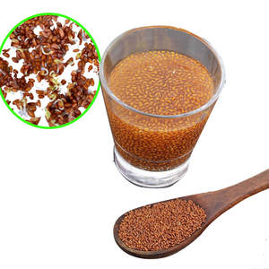 Cresson | Eco Microgreen Herb | Propre Offre Botanique - Product Image 4