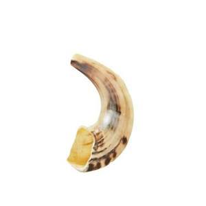 Shofar Tradicional Hecho a Mano, Duradero y Ecológico, de Cuerno de Búfalo, Perfecto para Culto, Fiestas, Uso en la Cocina, Rituales Espirituales y Culturales - Product Image 3