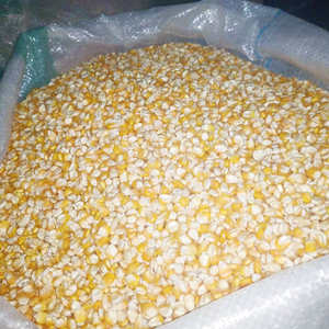 Producto de Moda, Exportador de Maíz Amarillo - Product Image 2