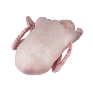 Pato congelado recién procesado Pato congelado cuidadosamente embalado para preservar el sabor natural y el alto contenido de proteínas - Product Image 4