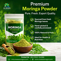 Polvo de Moringa Orgánico de Calidad de Exportación, Extracto de Hoja, Suplemento Herbal, Suministro a Granel de Bangladesh, Extracto de Planta, Proveedor Mayorista