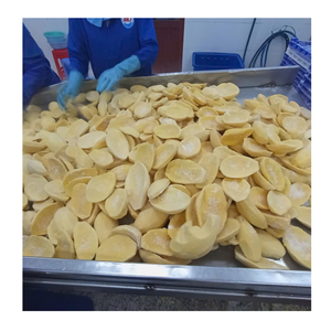 La exportación del proveedor de mango congelado de Vietnam ofrece mango congelado de bajo costo con personalización de etiquetas para marcas de alimentos - Product Image 3