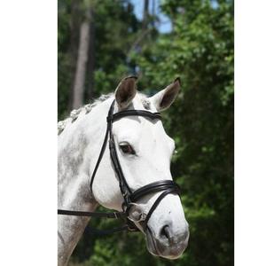 Pirouette Snaffle Bridle Entretenimiento inteligente Al Aire Libre Asequible Deportes de lujo Carreras de caballos Brida Personalización Estacional - Product Image 1