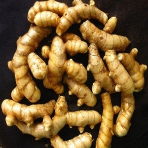 Gingembre cru frais 25 kg, deux gingembres jaunes et curcuma en cubes, cultivés à la maison et fraîchement cueillis pour la cuisine - Product Image 6