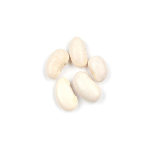 Frijoles blancos asequibles a la venta para comercio internacional - Product Image 3