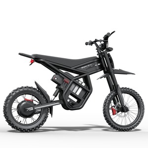 Nouveau Vélo Électrique Tout-Terrain Adulte GT54 Pro 3000W 60V 25Ah à Vendre Rapidement avec Garantie de 2 Ans, Prêt à l'Expédition - Product Image 3