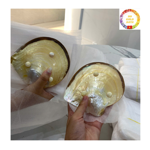 Assiette en nacre de luxe faite à la main, plat de caviar en coquille d'huître naturelle pour une cuisine raffinée et une décoration - Product Image 5