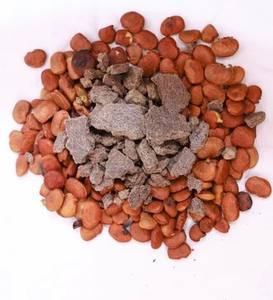 Fertilizante en Polvo de Pastel de Karanja Orgánico de Alta Pureza Utilizado para el Crecimiento Agrícola, Proveedores y Exportadores de Venta al por Mayor de la India - Product Image 2