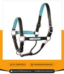 Prêt à expédier licou de cheval rembourré en cuir véritable licou en cuir rembourré avec plaque signalétique portable - Product Image 6