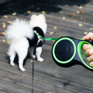 Laisse de traction télescopique automatique en nylon pour chien, rétractable, avec ruban décoratif, pour le marché international - Product Image 1