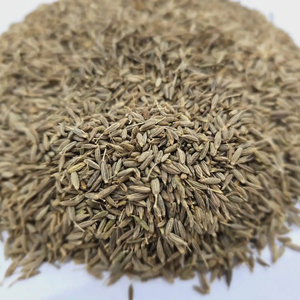 Cumino - Product Image 1