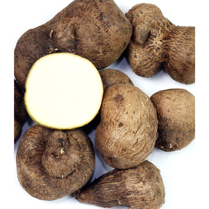 ÑAME BLANCO CONGELADO DE VIETNAM 100% NATURAL RECIÉN PROCESADO PARA EXPORTACIÓN - Product Image 1