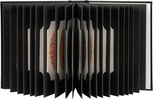 VENTE CHAUDE DE HAUTE QUALITÉ 2024 NOUVELLE ÉDITION ISHIHARA LIVRE 38 PLAQUES OPTOMÉTRIE COULEUR... - Product Image 2