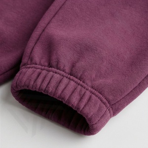 Conjunto Deportivo de Dos Piezas para Mujer, Invierno 2025, con Capucha, Casual, de Alta Calidad, Color Sólido, Sudadera y Pantalones Jogger, Personalizable - Product Image 6