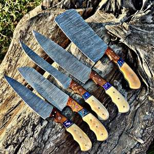 Juego de Cuchillos de Chef Profesionales, Hechos a Mano, de Acero al Carbono Forjado, 5 Piezas, Mango de Hueso, Ambidiestros, Duraderos, para Cocina - Product Image 1