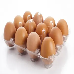คุณภาพดีราคาถูกไข่ไก่โต๊ะสดสีขาว / เปลือกหอยสีน้ําตาลเพื่อการส่งออก