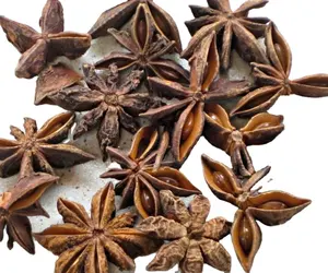 Star Anise - Premium Spice From Nature-Produk Berkualitas Tinggi dari Vietnam ( Jennie: + 84 358485581)