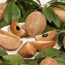 TODA LA ETIQUETA LIMPIA NATURAL FRUTA A BASE DE PLANTAS DE SAPODILLA MADURA CONGELADA PARA UNA DIETA DE REFUERZO INMUNE SALUDABLE - Product Image 6