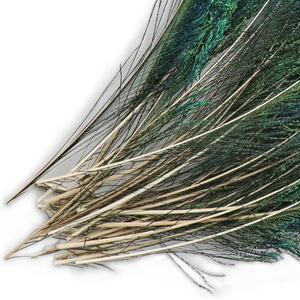 <span class=keywords><strong>Attrape</strong></span>-rêves coloré DIY avec <span class=keywords><strong>plume</strong></span> teintée <span class=keywords><strong>Paon</strong></span> - Product Image 4