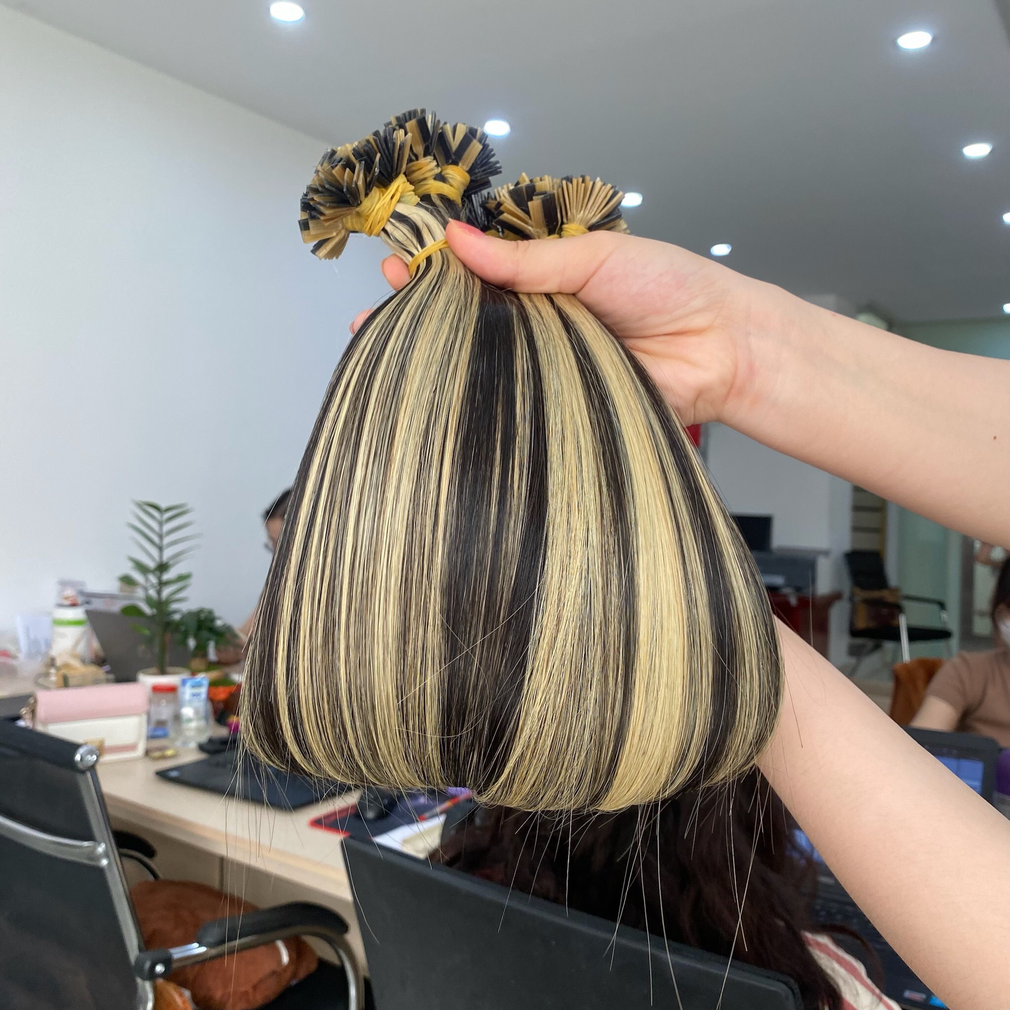 ฟลาตทิป01