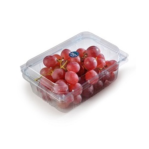 Uvas orgánicas japonesas sin semillas de primera calidad, granja verde fresca cultivada para exportación-Precios al por mayor a granel - Product Image 1